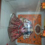 Vraj-Yatra-2014- (1251)